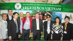 Vegetexco: Lãi vỏn vẹn 1 tỷ dù doanh thu tăng đột biến 3 tháng đầu năm