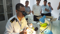 7 tháng đầu năm xuất khẩu nông sản bứt phá