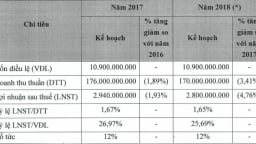 Lên sàn với bức tranh không sáng, Hapromart liệu có làm nên 'mùa xuân'?