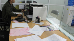 631 lô hàng được đăng ký kiểm tra chuyên ngành tập trung tại Hải Phòng