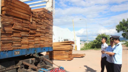 Hải quan không đảm nhiệm thêm việc thu phí hạ tầng tại Quảng Trị