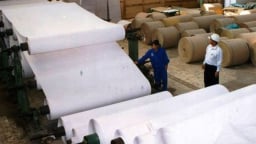 Tổng Công ty Giấy Việt Nam thay Tổng giám đốc