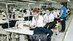 VITAS kiến nghị bỏ quy định về tăng thuế nhập khẩu đối với xơ polyester