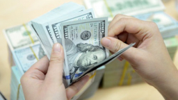 Dự trữ ngoại hối Việt Nam lập kỷ lục mới