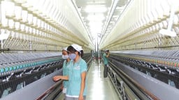 Dệt may hồi sinh và những rào cản mới