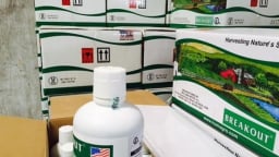 Phó Thủ tướng Trương Hòa Bình: Vụ việc Thuận Phong vẫn đang được điều tra