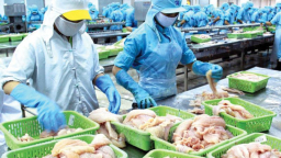 Động thái khó hiểu tại Công ty Đầu tư Việt Việt Nhật