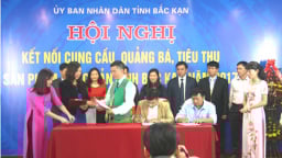 Bắc Kạn kết nối tiêu thụ các sản phẩm nông sản