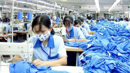 1/2 ngành kinh tế tăng trưởng không nhờ năng suất lao động