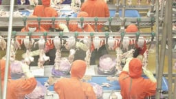 Doanh nghiệp phấn khởi trước “món quà đầu năm” của Chính phủ
