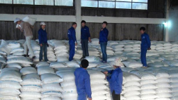 Đường lỏng nhập khẩu ồ ạt với thuế suất 0%
