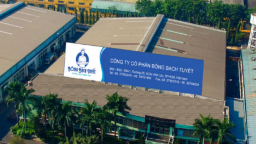 Không có khả năng trả khoản nợ 40 tỷ, Bông Bạch Tuyết bị phát mãi tài sản