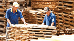 Tập đoàn Cao su (GVR): 6 tháng ước đạt 34% kế hoạch lợi nhuận năm