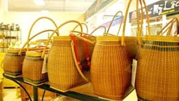 ​5 vấn đề phát triển chuỗi giá trị tre bền vững sẽ được giải quyết