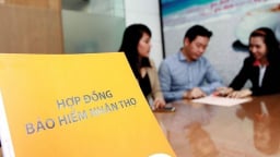 200 nghìn đại lý bảo hiểm 'làm loạn' như thế nào?