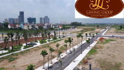 Chính thức thanh tra toàn diện các dự án của Tập đoàn Lã Vọng