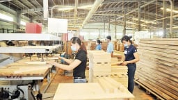 Tăng cường năng lực cạnh tranh cho doanh nghiệp