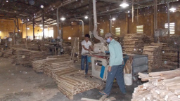 ​Khảo sát thị trường xuất khẩu và xu hướng tiêu dùng lâm sản ngoài gỗ, thủy sản
