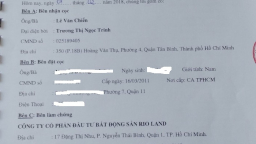 Ông Trần Ngọc Tâm, Cục trưởng Cục Thuế TP.HCM: ‘Sẽ cho kiểm tra, xử lý các trường hợp lách thuế như Rio Land’