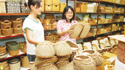 ​10 hội thảo nâng cao nhận thức về lâm sản ngoài gỗ, thủy sản