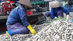 ​Tăng thu nhập và cải thiện hiệu quả kinh doanh cho nhà sản xuất quy mô nhỏ