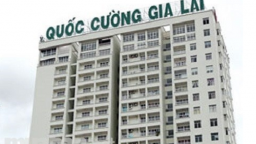 Làm rõ những sai phạm của chung cư Quốc Cường Gia Lai tại quận 7