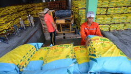 Yêu cầu PVN báo cáo tình hình tài chính của PVFCCo