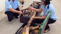 ​ 
Hơn 14.000 vụ vi phạm trong lĩnh vực hải quan