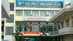 Kỷ luật cảnh cáo Kế toán trưởng Tổng Công ty Nông nghiệp Sài Gòn