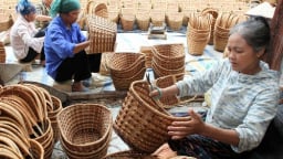 Liên minh công tư trong chuỗi giá trị lâm sản ngoài gỗ và thủy sản