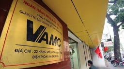 VAMC sẽ chính thức là thành viên của IPAF