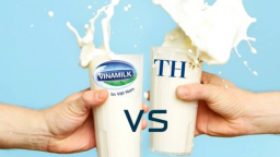 Sữa học đường tại Hà Nội: Vinamilk đấu TH True Milk thế nào?