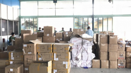Buôn lậu mỹ phẩm, một doanh nghiệp bị khởi tố hình sự