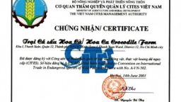 Hướng dẫn nộp Giấp phép CITES khi xuất khẩu, tái xuất hàng hóa