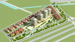 Nettra giải thể, dự án bị thu hồi