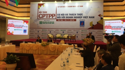 Vào CPTPP, doanh nghiệp Việt hãy “đào mỏ vàng” thị trường nội trước