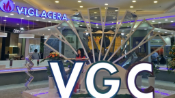 Khởi động 'game' thoái vốn và chuyển sàn tại Viglacera