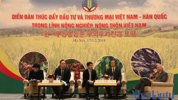 Nguyên trưởng đại diện FAO tại Việt Nam: 'Đầu tư của Hàn Quốc vào nông nghiệp Việt Nam vẫn chưa rõ nét'