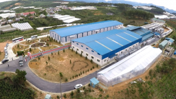 VDL bị phạt, truy thu thuế gần 191 triệu đồng
