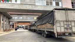 Hàng Việt cần tăng chất lượng để tăng cơ hội xuất khẩu chính ngạch