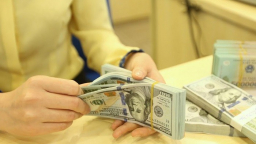 Năm 2019, tỷ giá tăng 1,5 - 2%, lãi suất khó tăng mạnh?