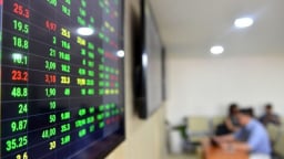 VDSC: VN-Index sẽ dao động quanh ngưỡng 900 - 1.000 điểm trong năm 2019