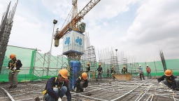 Phản bác Kiểm toán Nhà nước, HBC từ chối nộp hàng trăm triệu đồng vào ngân sách