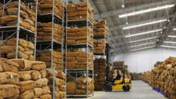 Năm 2019: Hạn ngạch nhập khẩu 56.284 tấn thuốc lá nguyên liệu