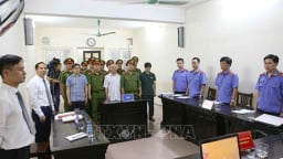 Truy tố các bị can liên quan đến sai phạm trong vụ Phan Văn Anh Vũ