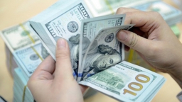 Năm 2018, Việt Nam xuất khẩu hơn 36,8 tỷ USD sang các nước CPTPP