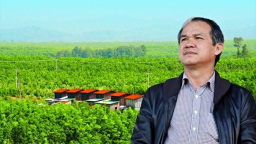 Giá cao su tăng 40% sau hai tháng: Không có 'phép màu' nào cho bầu Đức