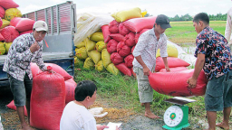 Nông sản Việt: Gắn sản xuất với tiêu thụ