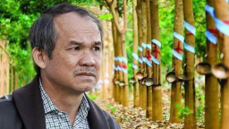 Bộ đôi công ty của bầu Đức bất ngờ lỗ hàng trăm tỷ đồng trong quý IV/2018
