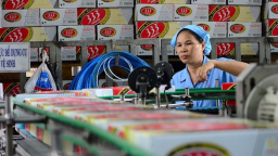 Cục Thuế TP.HCM báo cáo tiếp Tổng cục Thuế vụ truy thu thuế Sabeco, Unilever
